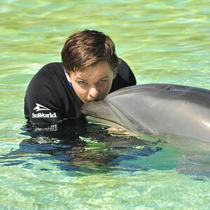 Dolphin Kiss!