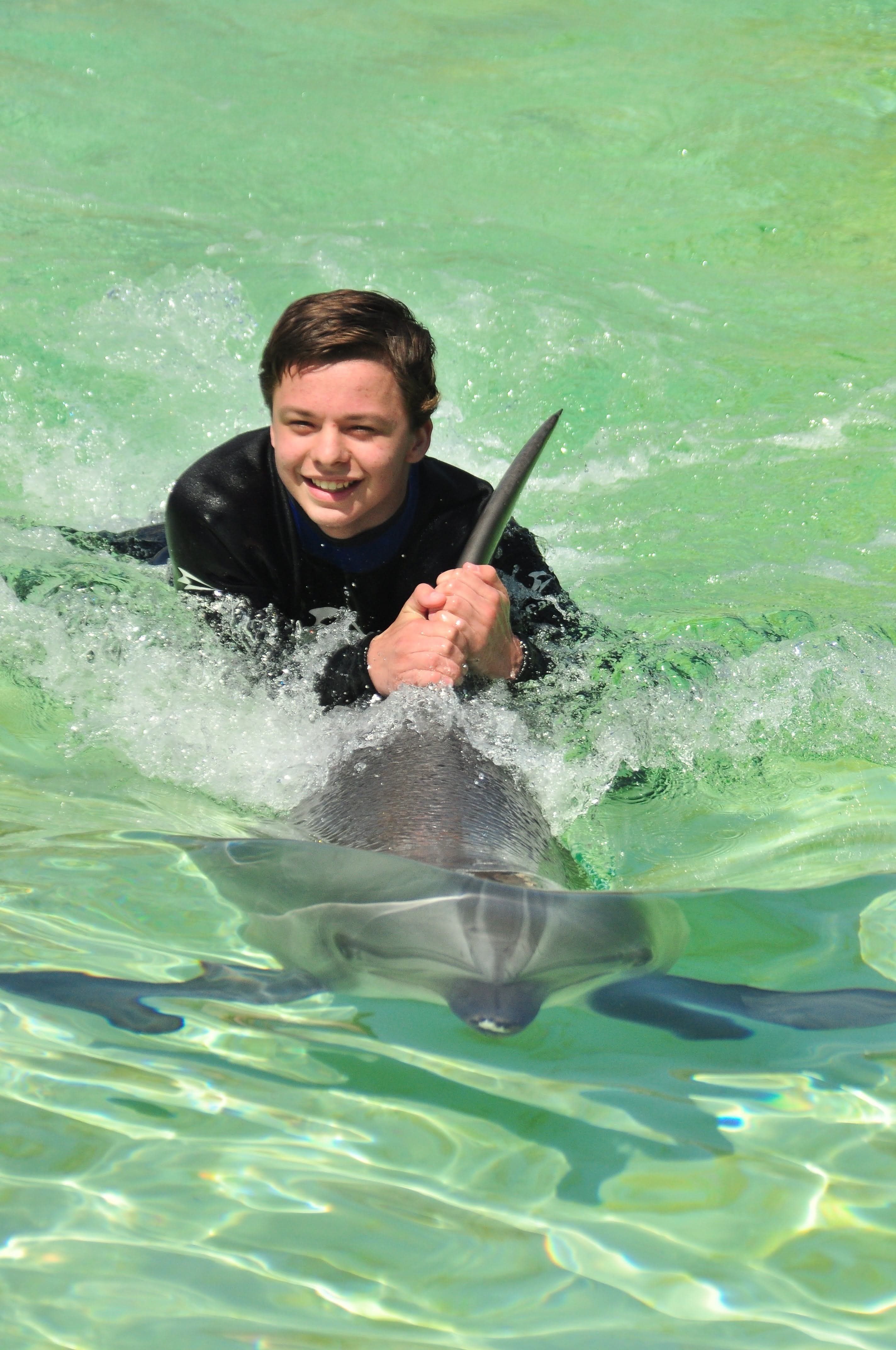 Dolphin Riding (2)