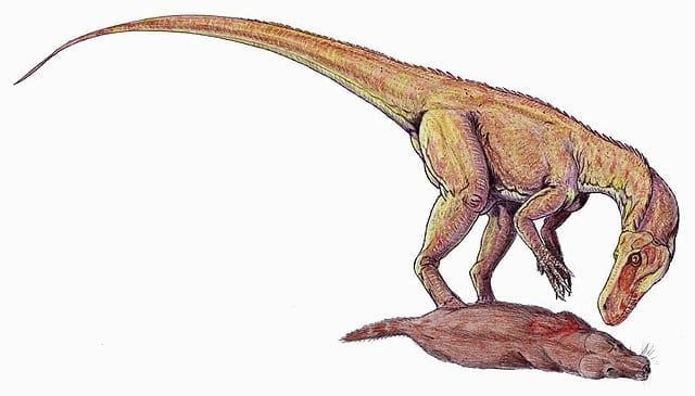 Herrerasaurus With Prey