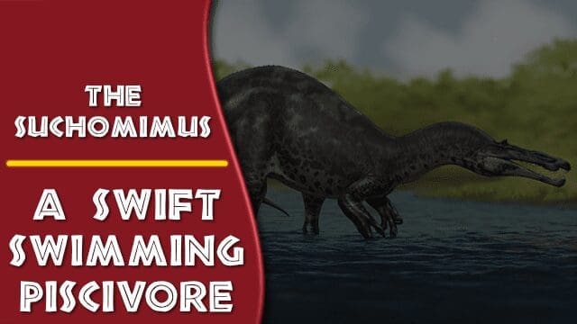 Suchomimus - Swift Swimmer - Thumbnail