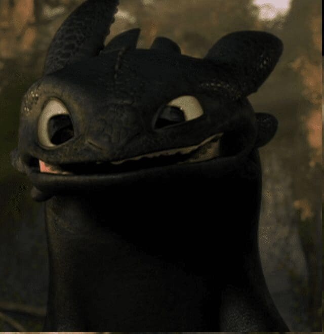 How To Train Your Dragon Funny Toothless