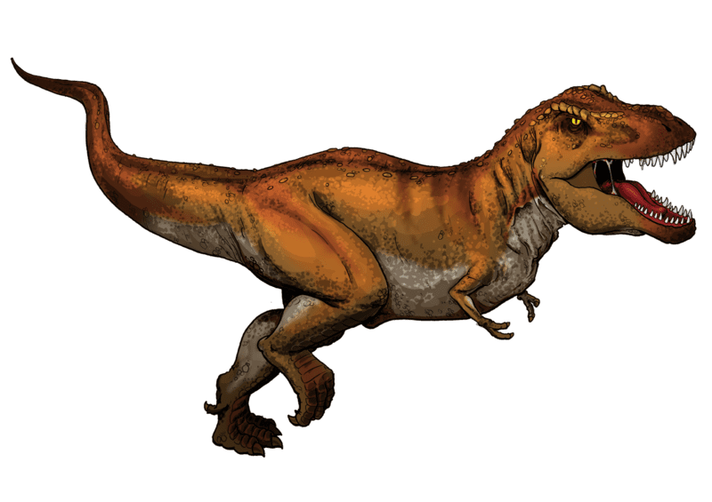 Tyrannosaurus Rex - Colored