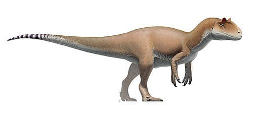 Allosaurus Reconstruction - Fred Wierum