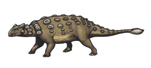 Ankylosaurus body design - DBCLS