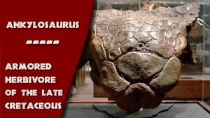 Ankylosaurus Thumbnail