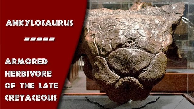 Ankylosaurus Thumbnail